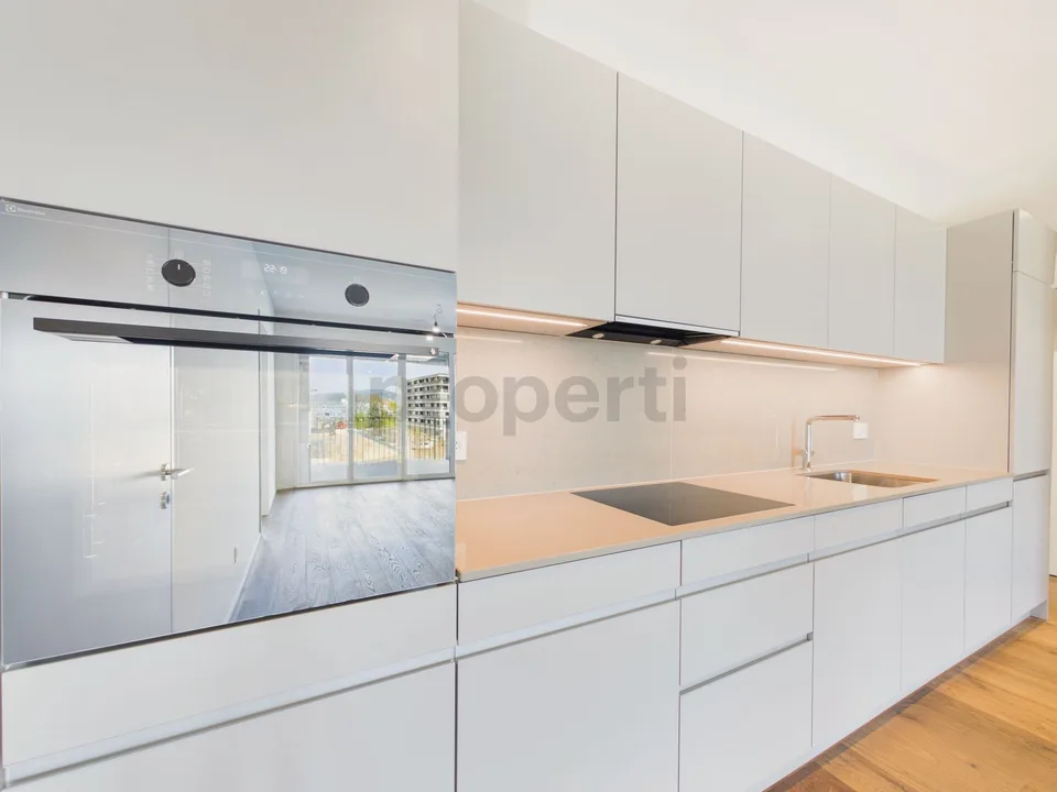 Exklusive 3.5-Zimmer-Neubauwohnung im AuPark  modernes Wohnen mit Blick zum Zürichsee