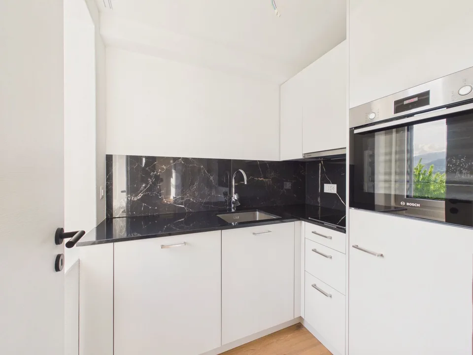 Neu renovierte 2.5-Zimmer-Wohnung mit Balkon, Luzern