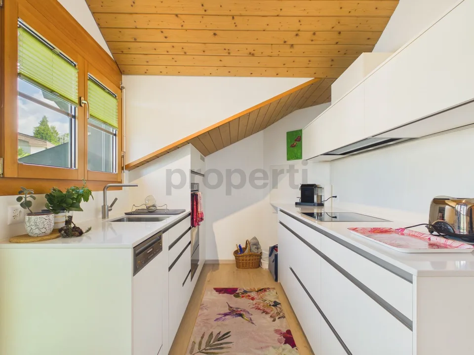 Balkon mit Sempacherseeblick, frisch renoviert und eigener Waschturm