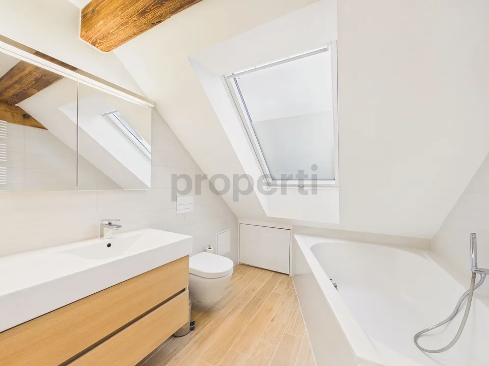 Exklusive 6.5-Zimmer-Attikawohnung mit sonnigem Balkon in Basel