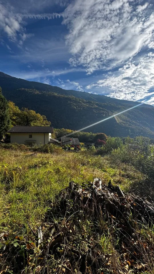Terrain constructible avec piscine naturelle à Giornico - Résidence principale