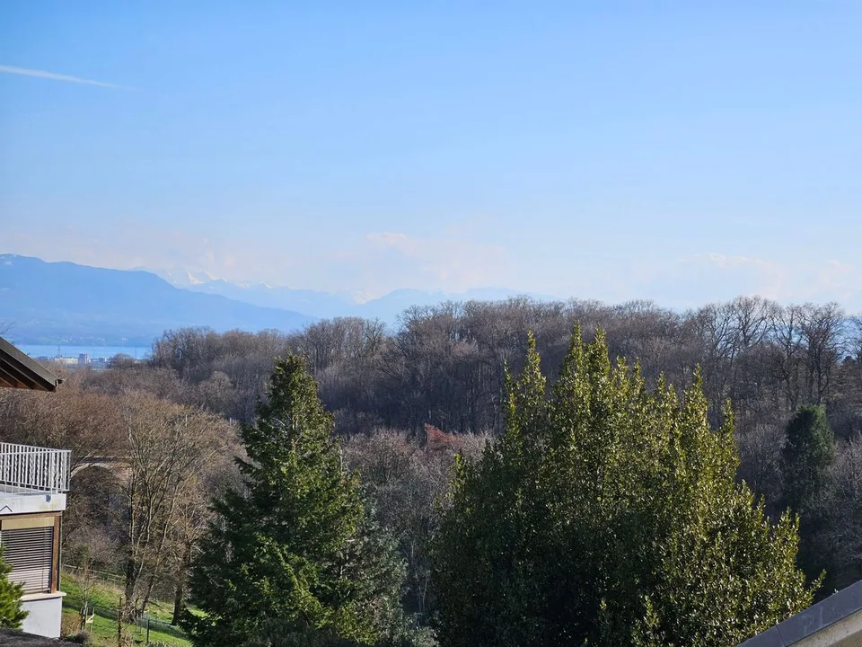Maison de charme rénovée à vendre à Givrins