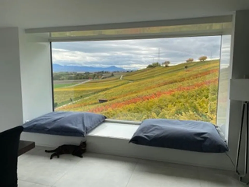 CLARMONT - Magnifique Villa d'architecte