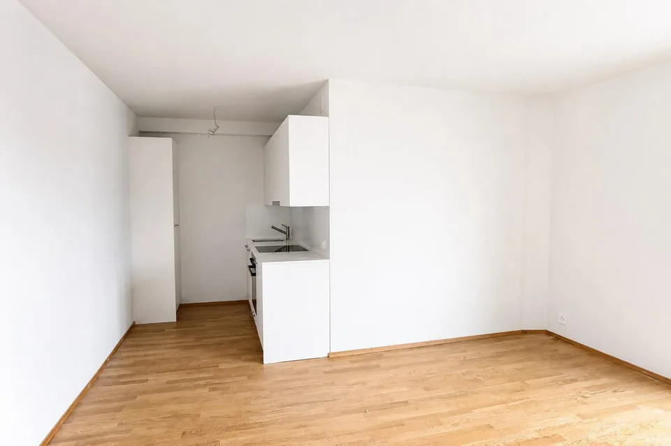 Renovierte 1-Zimmerwohnung nähe Bahnhof SBB
