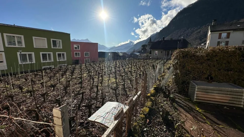 Immeuble locatif à Vouvry