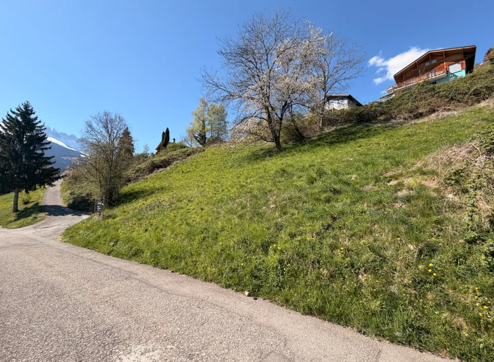 Belle parcelle à vendre à Collombey ( Les Neyres )
