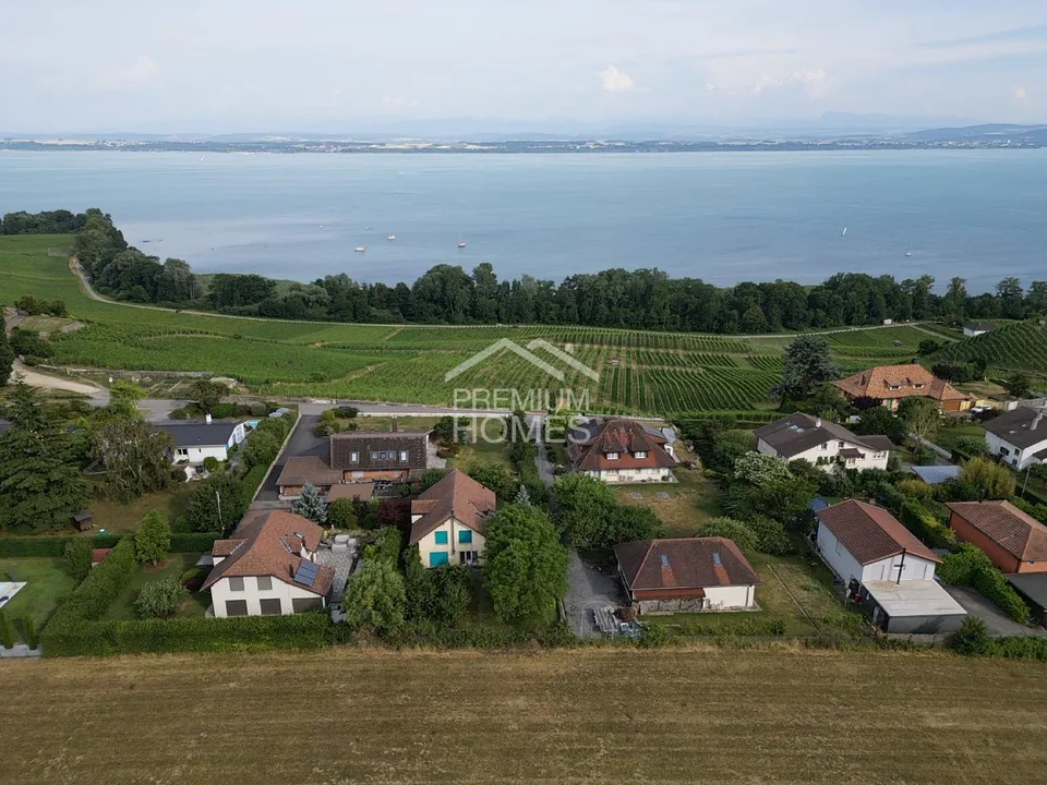 Spazio, giardino e dolcezza di vivere – foto 7 di 11