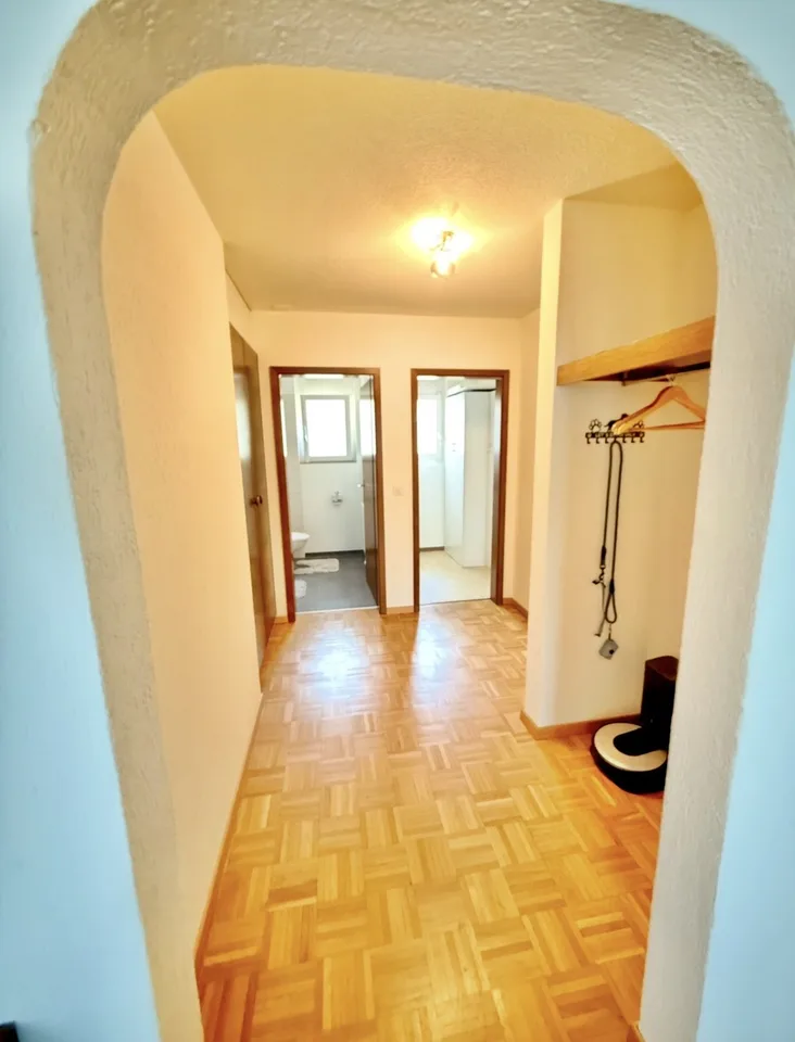 Ampio appartamento di 5,5 stanze con camino e grande balcone sud