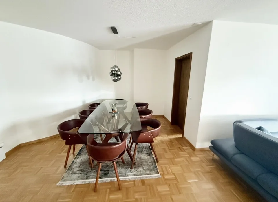 Ampio appartamento di 5,5 stanze con camino e grande balcone sud