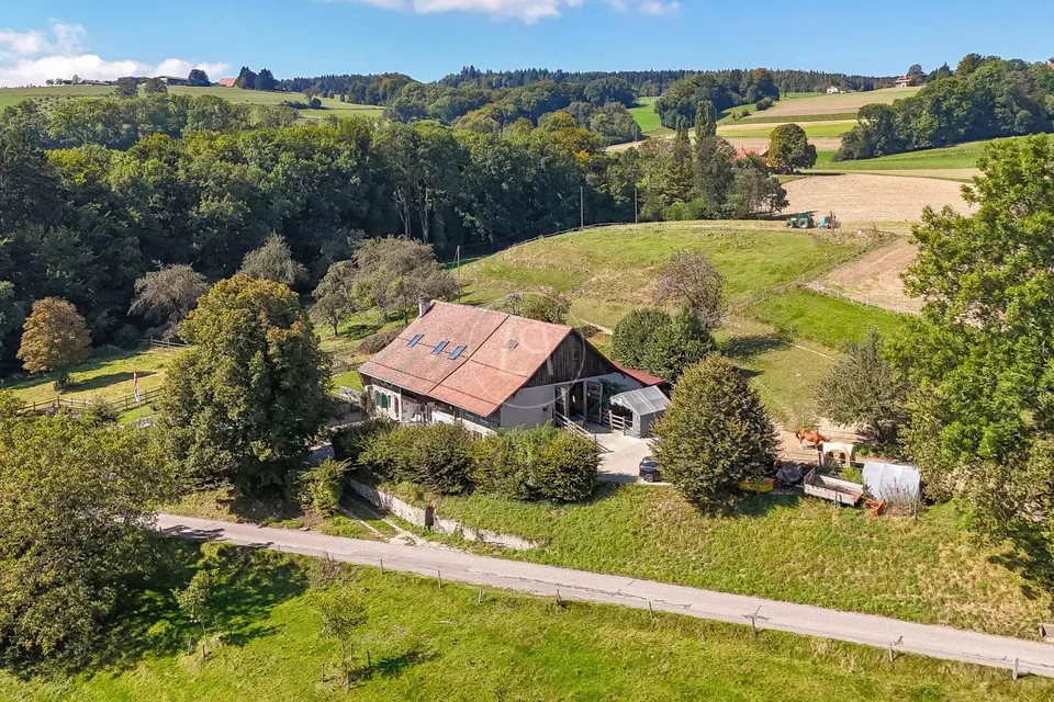 Pferdefarm in der Nähe von Lausanne – Foto 4 von 26