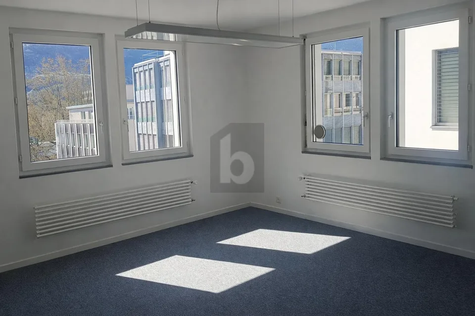 LUMINEUX, PRATIQUE ET CENTRAL
