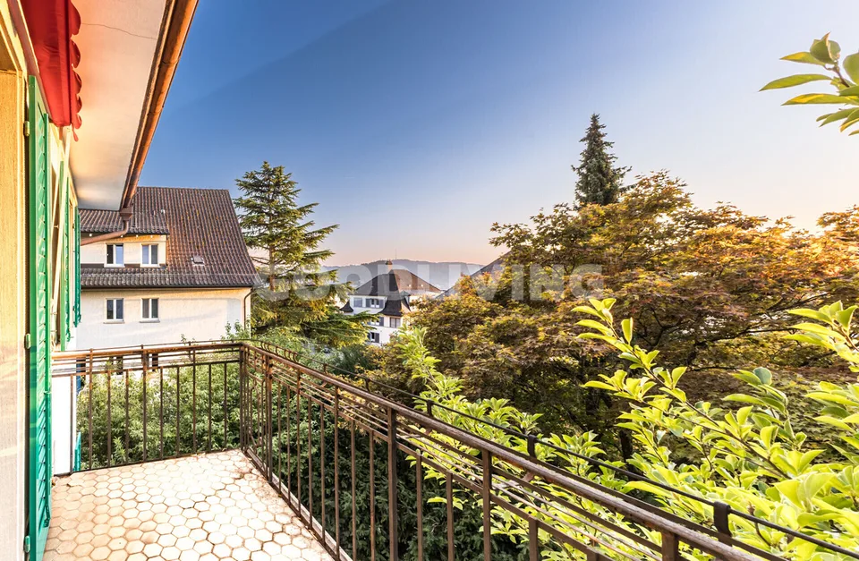 Rareté avec potentiel au Zürichberg