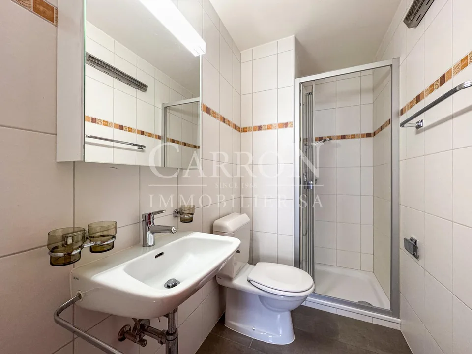 Apartment with 4.5 rooms and garage in Vissigen (Sion)