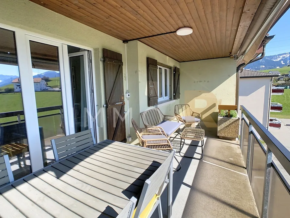 Magnificent 3.5-room apartment completely renovated