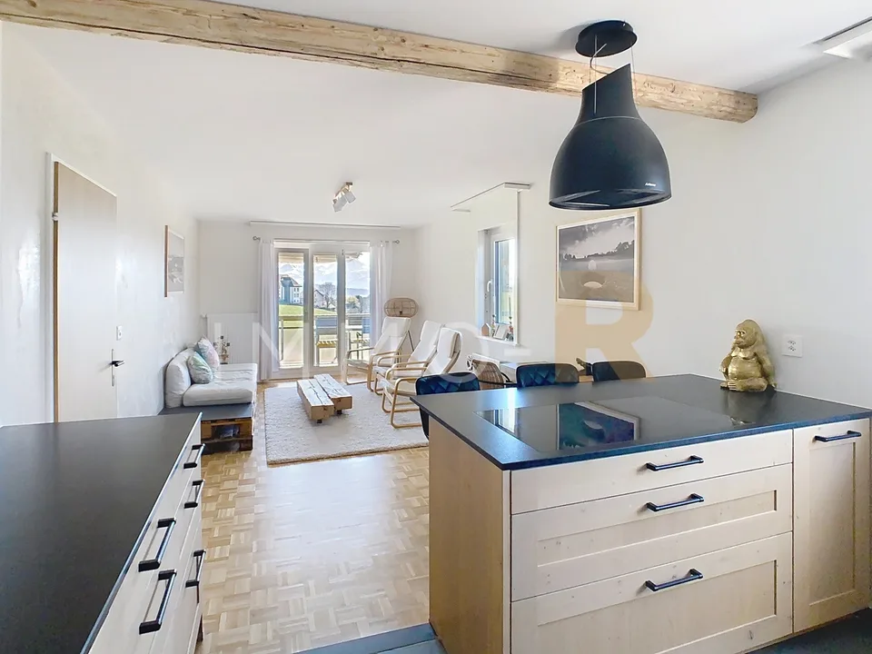 Magnificent 3.5-room apartment completely renovated