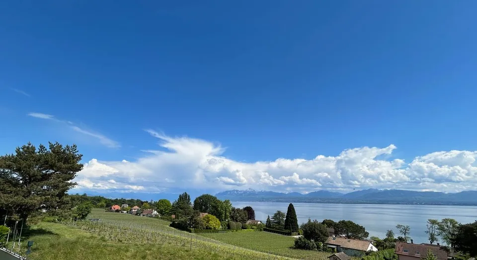 À LOUER - BUCHILLON Appartement 2,5 pièces avec Jardin et une vue imprenable