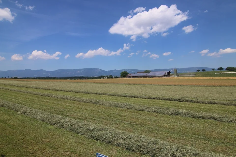 Helle 4-Zimmerwohnung in naturnaher Umgebung in Halten