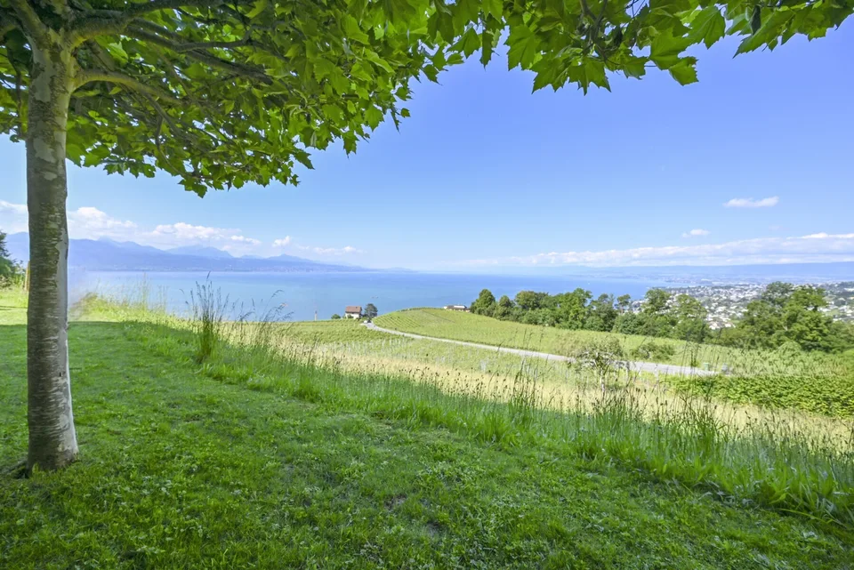 LUTRY - UNIQUE ! SOMPTUEUSE VILLA  AU COEUR DES VIGNES