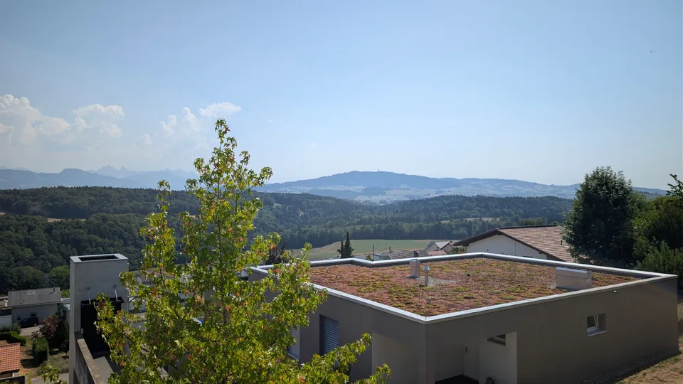 Le Balkon
