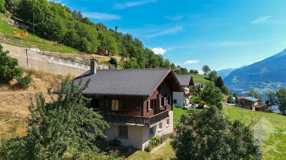 Old house in an excellent location with great potential