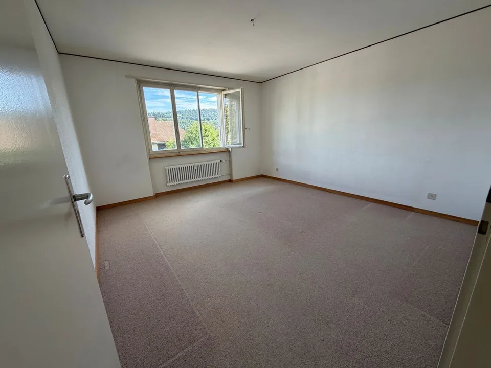 Helles Apartment zu renovieren