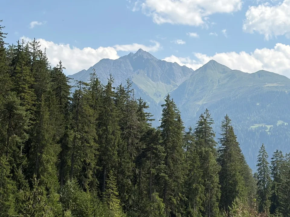 Appartamento affascinante 4.5 stanze con panorama montano a Laax – foto 3 di 17
