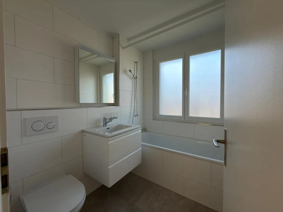Schöne renovierte 3-Zimmer-Wohnung