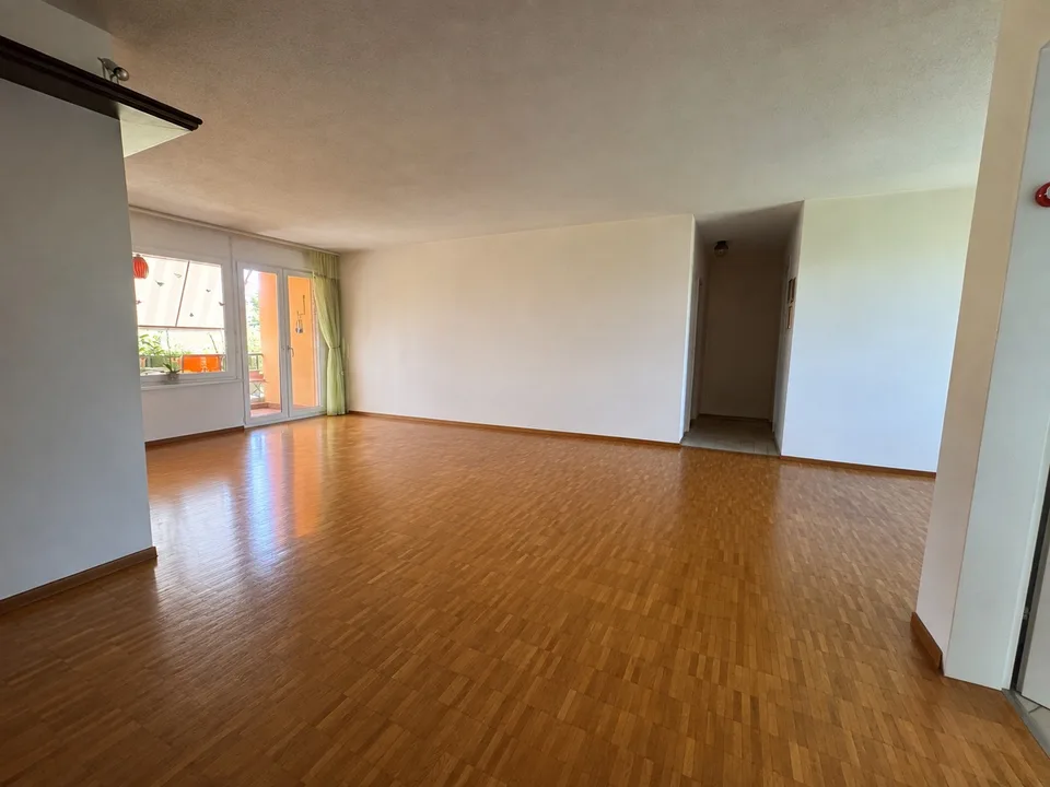 4.5-Zimmerwohnung am Stadtrand von Wallisellen