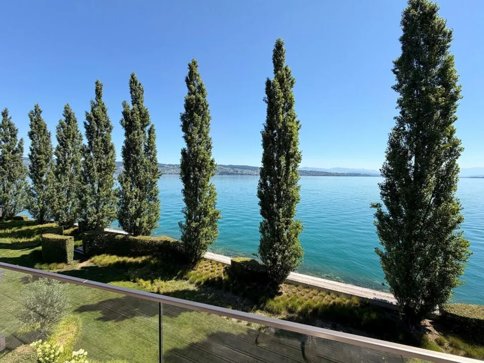 Peninsula Beach House - Lusso puro sul Lago di Zurigo – foto 2 di 7