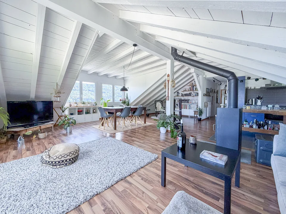 Spacious 2.5-room attic apartment, ~ 130 m2