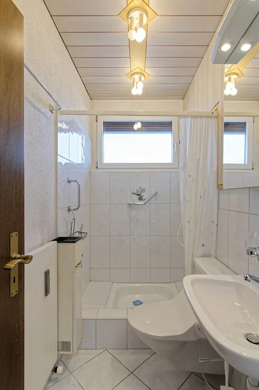 5.5-room penthouse apartment with a view of the pond