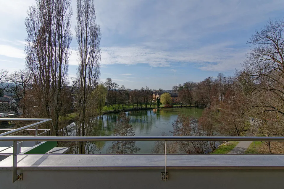 5.5-Zimmer Attikawohnung mit Blick auf Weiher