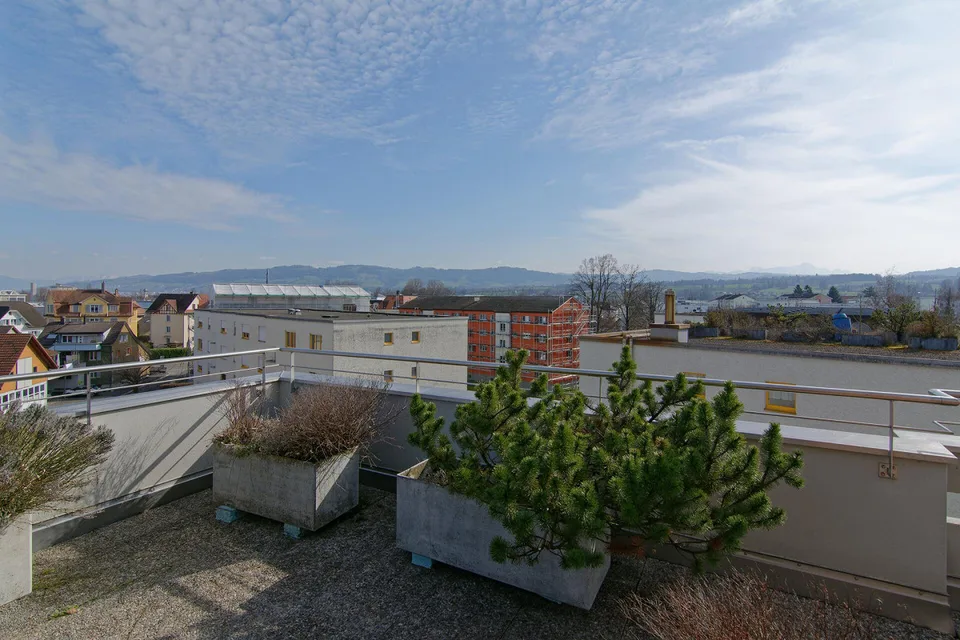 5.5-room penthouse apartment with a view of the pond