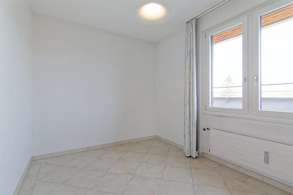 5.5-room penthouse apartment with a view of the pond