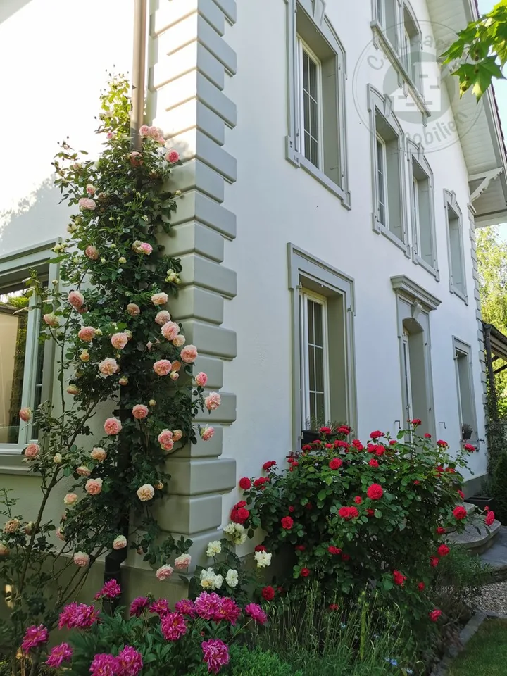 Fantastisches Herrschaftshaus mit Wohnungen und Gewerbe "alles unter