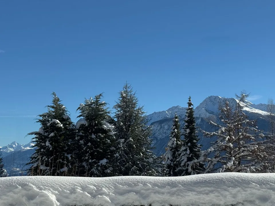 Bel appartement 3.5 pièces en rez-de-jardin prés de l'arrêt de funiculaire de Blûche / Ref. 1007-684