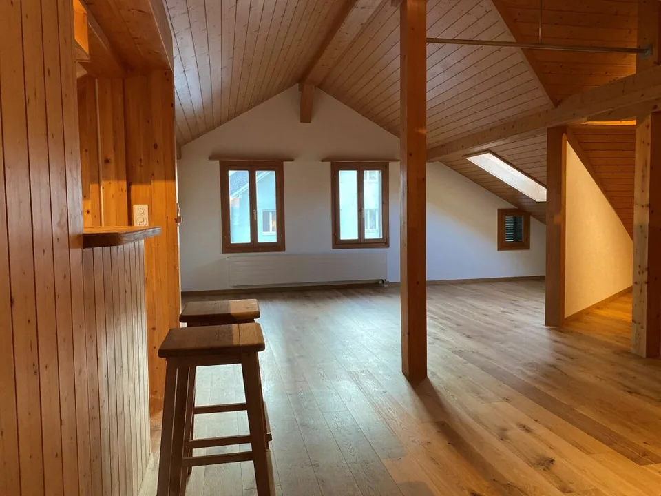 Grosszügige Dachwohnung im 3-Familienhaus