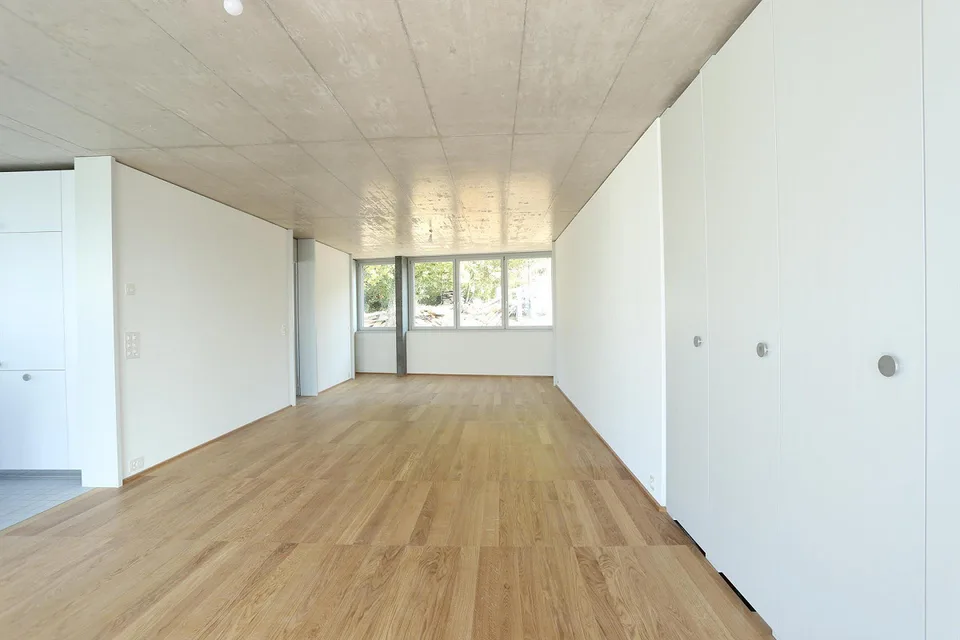 3.5 Zimmerwohnung in Therwil