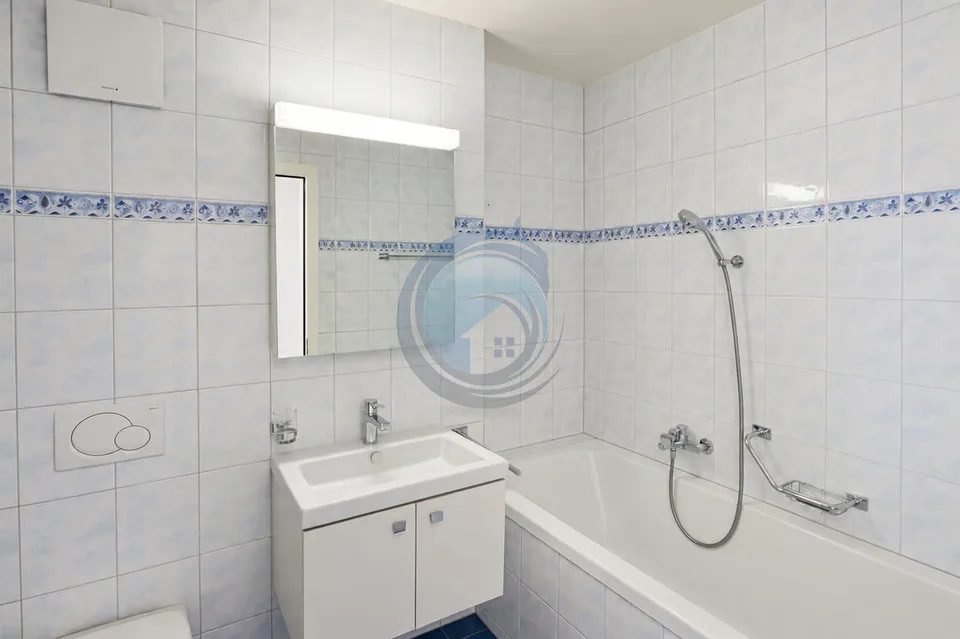 MAGNIFICENT 3.5-ROOM APARTMENT IN THE HEART OF BLONAY