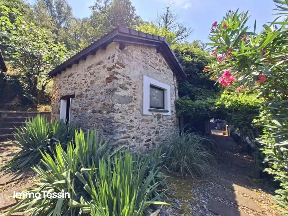 UNIQUE : Propriété avec deux Rustico et un atelier séparé dans un endroit panoramique avec une vue imprenable et un immense terrain – photo 3 sur 13