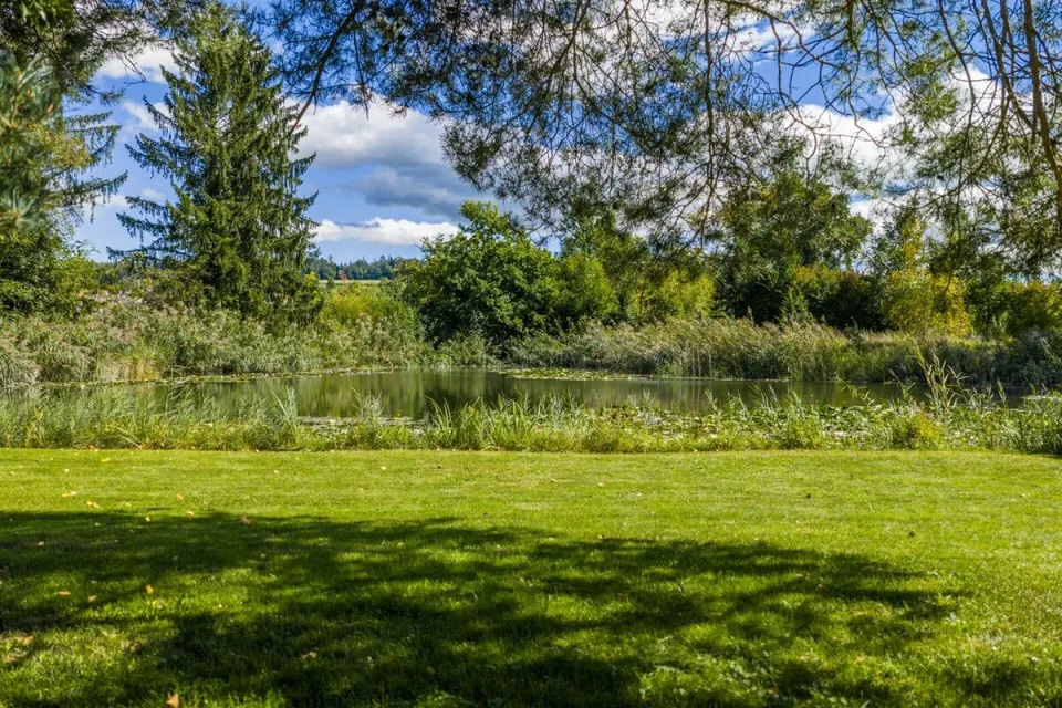 Between Zug and Zurich: Villa for free spirits and life artists on 10,000 m² – photo 9 of 13