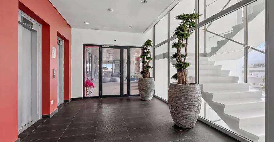 Ein moderner Raum von 450 m² im Herzen von Plan-les-Ouates – Foto 5 von 21