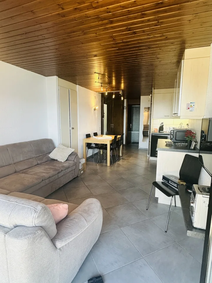 Bello appartamento di 3,5 locali in affitto per l'anno – foto 11 di 18