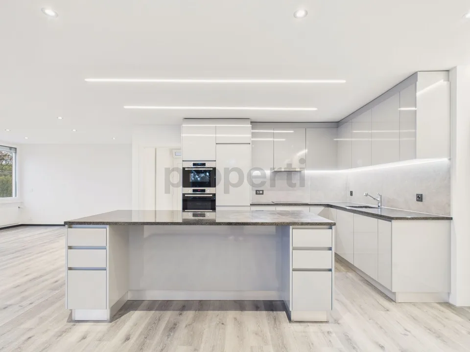 Modern 6.5 room row house with garden in La Neuveville