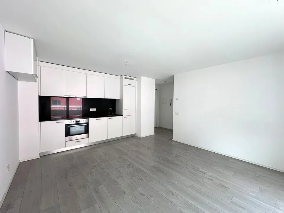 Moderno appartamento di 2.5 locali con balcone a Cadenazzo