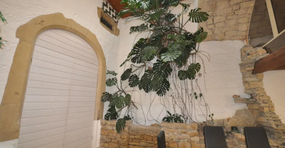 Büro zur Miete im Château 23, Peseux – Foto 15 von 17