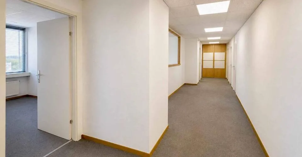 Büros im Malagnou-Florissant-Viertel – Foto 9 von 10