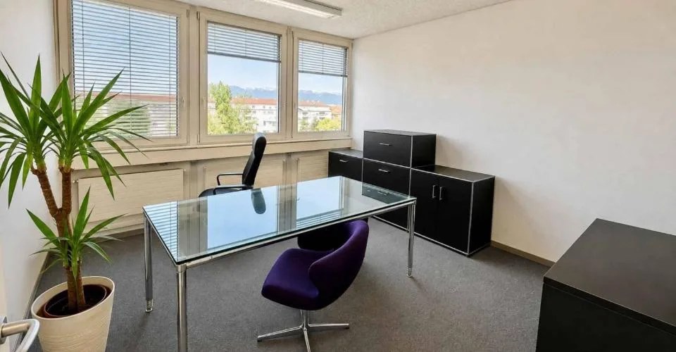 Büros im Malagnou-Florissant-Viertel – Foto 6 von 10