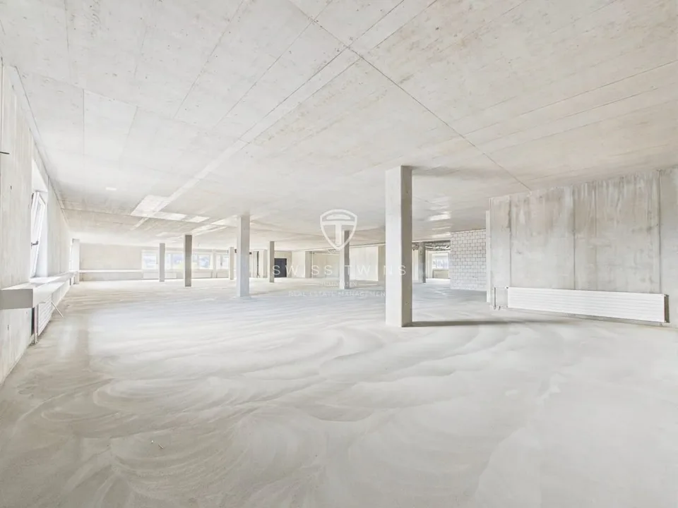 New building: flexible commercial & office space for rent in Hochdorf – photo 11 of 13