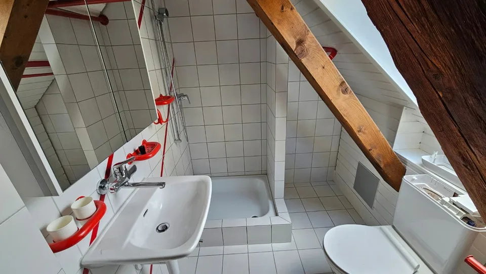 Casa plurifamiliare con 3 unità in affitto – foto 9 di 15
